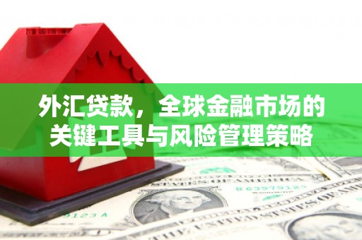 交城外汇贷款，全球金融市场的关键工具与风险管理策略