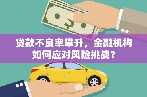 交城贷款不良率攀升，金融机构如何应对风险挑战？