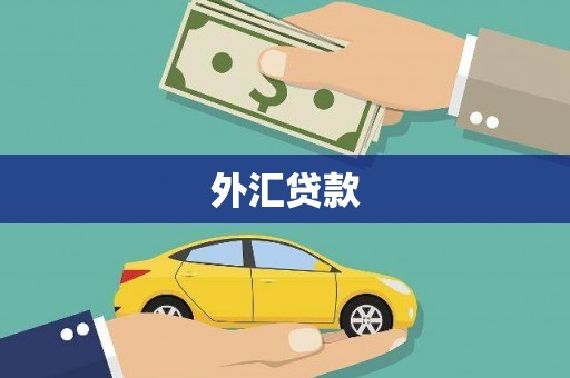 交城外汇贷款