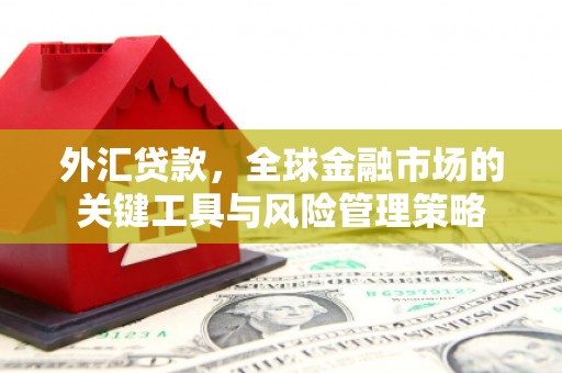 交城外汇贷款，全球金融市场的关键工具与风险管理策略