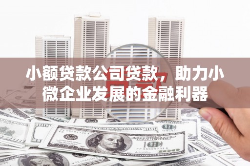 交城小额贷款公司贷款，助力小微企业发展的金融利器