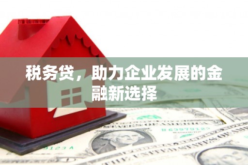 交城税务贷，助力企业发展的金融新选择