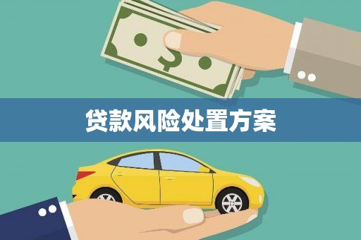 交城贷款风险处置方案