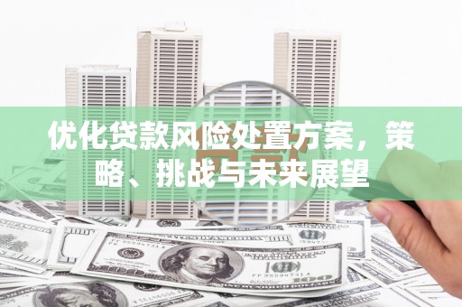 交城优化贷款风险处置方案，策略、挑战与未来展望
