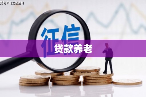 交城贷款养老