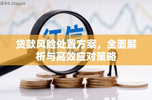 交城贷款风险处置方案，全面解析与高效应对策略