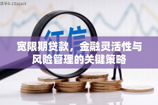 交城宽限期贷款，金融灵活性与风险管理的关键策略