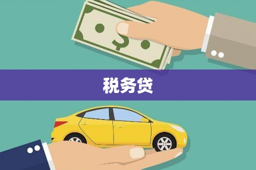 交城税务贷