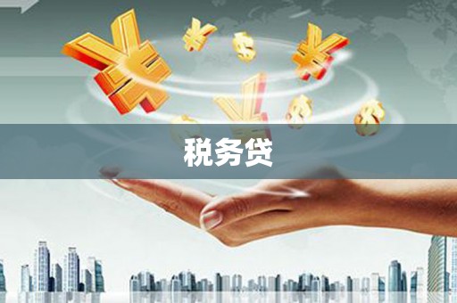 交城税务贷