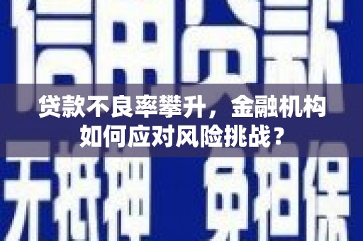 交城贷款不良率攀升，金融机构如何应对风险挑战？