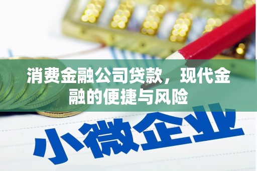 交城消费金融公司贷款，现代金融的便捷与风险